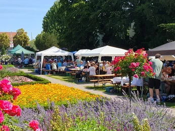 Rosengarten in Rheda-Wiedenbrück