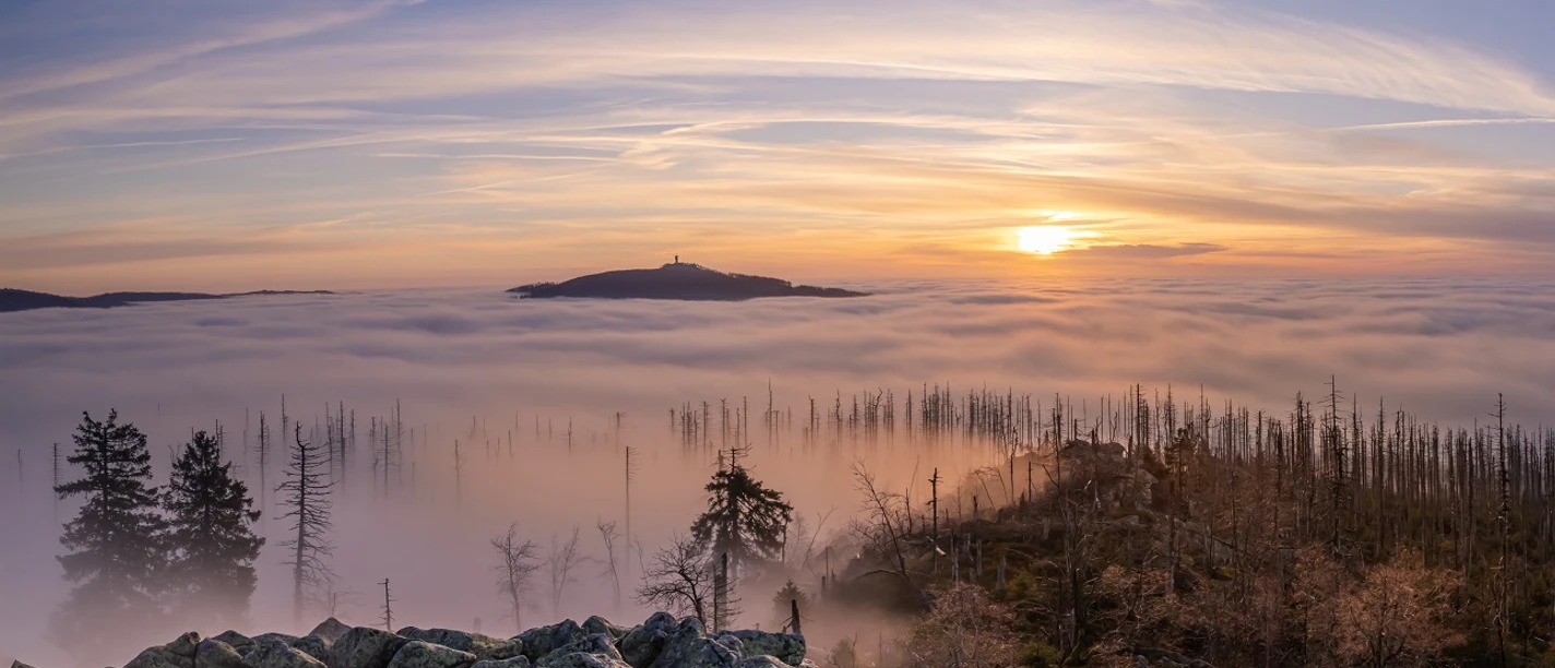 B_3_Hildebrandt_Mario_Sagenhafter_Morgen, klein.jpg