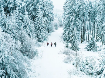 Drei Wanderer im Winterwald Drei Wanderer im Winterwald
