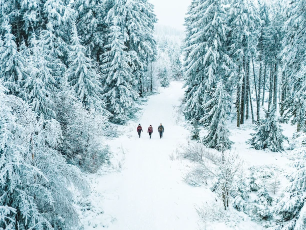 Drei Wanderer im Winterwald Drei Wanderer im Winterwald