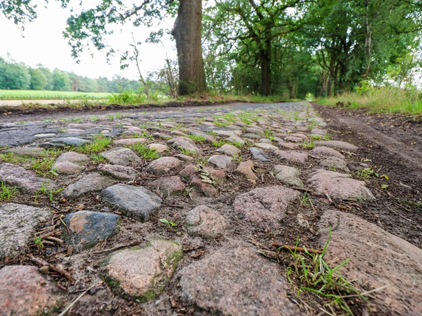 Historische Straße in Klein Berßen ©Emsland Tourismus GmbH (3).jpg Nahaufnahme einer alten Kopfsteinpflasterstraße, gesäumt von Bäumen und umgeben von grüner Natur.