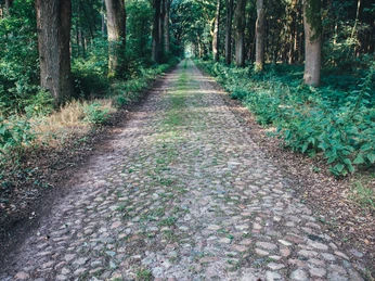 Historische Straße in Klein Berßen ©Emsland Tourismus GmbH (1).jpg