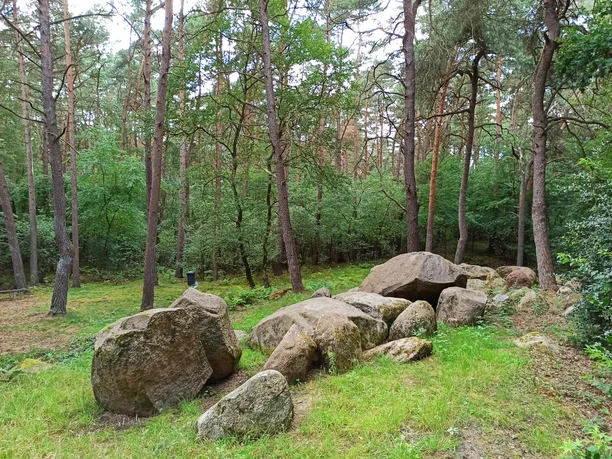 Rund um den Großen Sand - Hümmling-Pfade, Großsteingrab, Wandern im Emsland © Naturpark Hümmling (7).jpg Großsteingrab im Wald bei Lähden mit Moos bewachsenen Felsen zwischen hohen Kiefern
