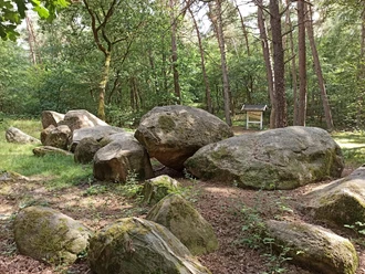 Rund um den Großen Sand - Hümmling-Pfade, Großsteingrab, Wandern im Emsland © Naturpark Hümmling (1).jpg Großsteingrab im Wald mit moosbedeckten Findlingen und Informationstafel zwischen hohen Kiefern