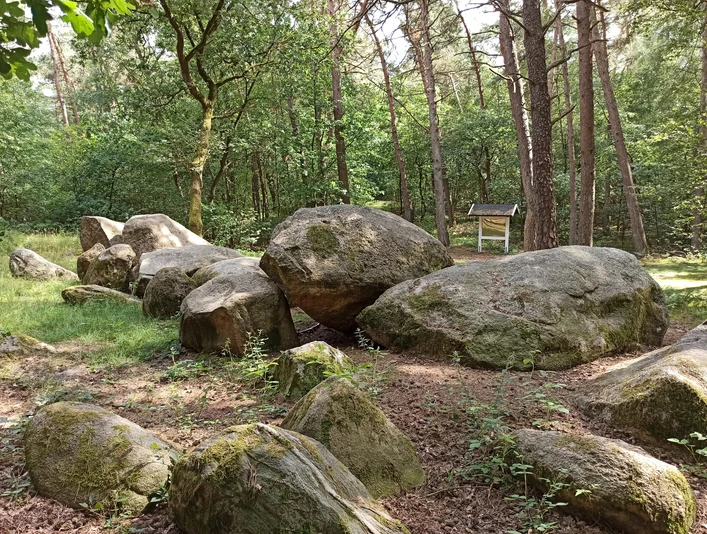 Rund um den Großen Sand - Hümmling-Pfade, Großsteingrab, Wandern im Emsland © Naturpark Hümmling (1).jpg