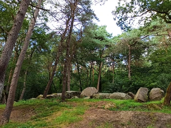 Rund um den Großen Sand - Hümmling-Pfade, Großsteingrab, Wandern im Emsland © Naturpark Hümmling (4).jpg