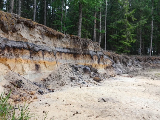 Bodenprofil Podsol (Bleicherde, Grauerde) in Holte, Geopark ©Emsland Tourismus GmbH (2).jpg