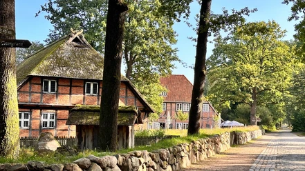 wilsede-bispingen.jpg Fachwerkhäuser mit Strohdächern stehen entlang einer sonnenbeschienenen Kopfsteinpflasterstraße.