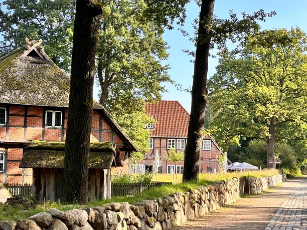 wilsede-bispingen.jpg Fachwerkhäuser mit Strohdächern stehen entlang einer sonnenbeschienenen Kopfsteinpflasterstraße.