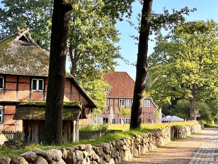 wilsede-bispingen.jpg Fachwerkhäuser mit Strohdächern stehen entlang einer sonnenbeschienenen Kopfsteinpflasterstraße.