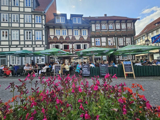 WhatsApp Image 2025-08-12 at 12.05.08.jpeg