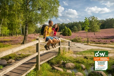 Wandelpad met brug in het Büsenbachtal naar de heidebloesem