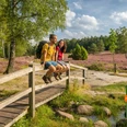 Wanderweg mit Brücke im Büsenbachtal zur Heideblüte Hiking trail with bridge in the Büsenbach valley to the heather blossomVandresti med bro i Büsenbach-dalen til lyngens blomstringWandelpad met brug in het Büsenbachtal naar de heidebloesem