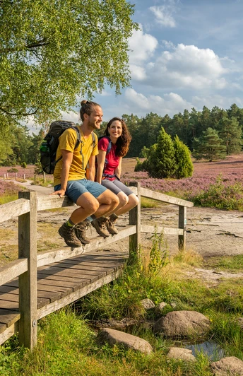 Wanderer auf der Heideschleife im Büsenbachtal Wanderweg mit Brücke im Büsenbachtal zur Heideblüte Hiking trail with bridge in the Büsenbach valley to the heather blossomVandresti med bro i Büsenbach-dalen til lyngens blomstringWandelpad met brug in het Büsenbachtal naar de heidebloesem