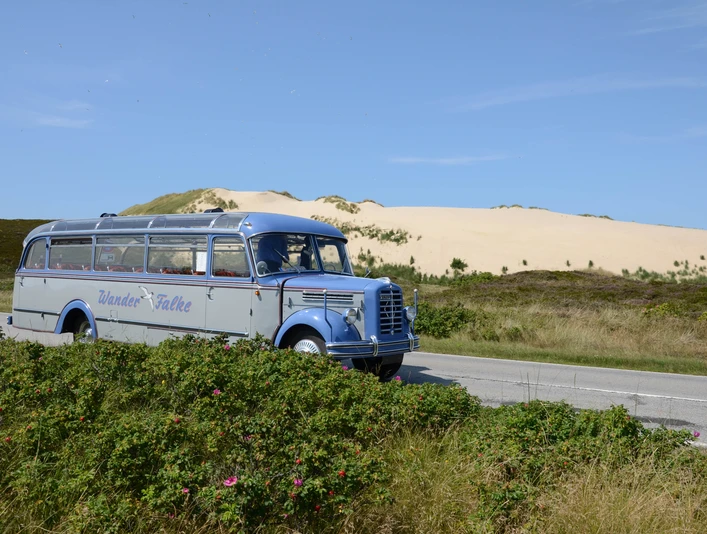 Wanderfalke Inselrundfahrt