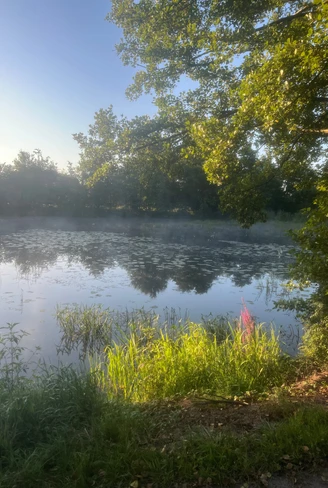 Quellsee am Campingplatz.jpg Ein kleiner See von Nebel umhüllt, umgeben von Bäumen, spiegelt klar den blauen Himmel wider.