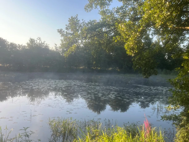 Quellsee am Campingplatz.jpg Ein kleiner See von Nebel umhüllt, umgeben von Bäumen, spiegelt klar den blauen Himmel wider.