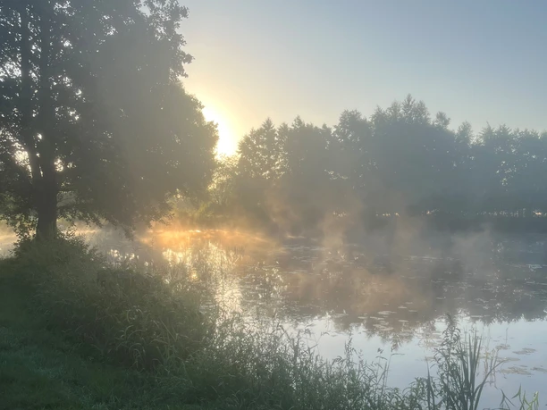 Quellsee am Morgen.jpg Morgennebel umhüllt einen ruhigen See, während Sonnenlicht durch den dichten Wald schimmert.