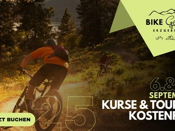 Newsletter-Header_BGE_25.jpg Mountainbiker fahren bei Sonnenuntergang auf einem waldreichen Abhang im Erzgebirge.
