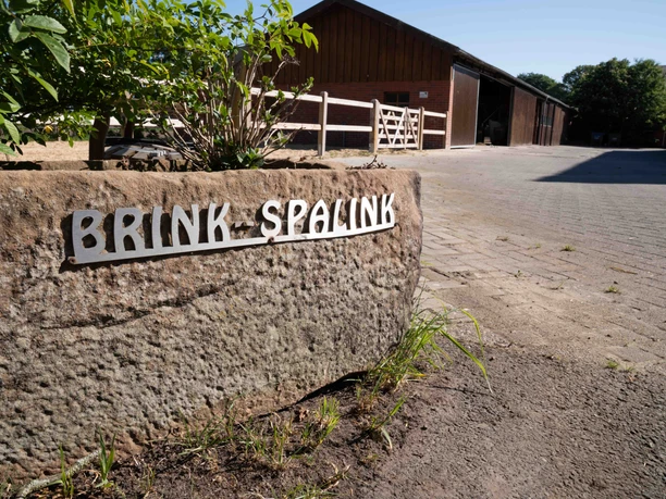 Brink-Spalink.jpg