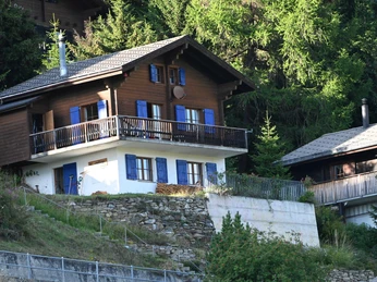 20170803_Moorvogel_142Sommer