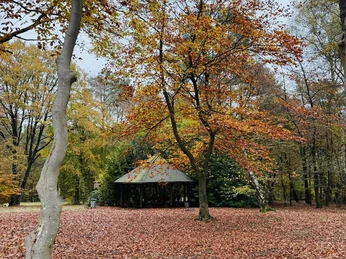 BBU mbH - Grillplatz.jpeg