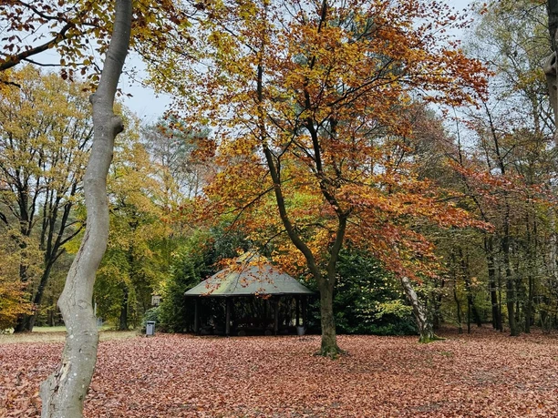 BBU mbH - Grillplatz.jpeg