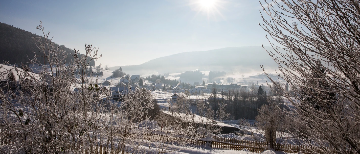 Mitteltal im Winter