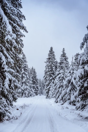 Winterwanderung in Baiersbronn