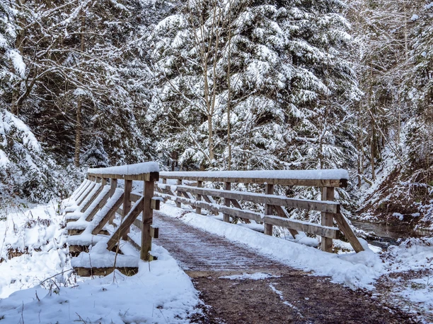 Winterwanderung im Tonbachtal