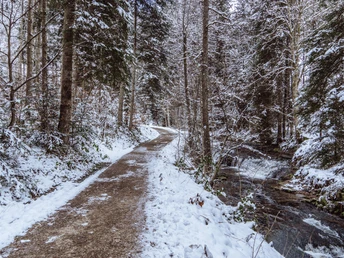 Winterwanderung im Tonbachtal