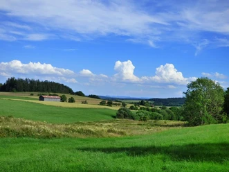 Blick vom Ostweg zum Forchenkopf