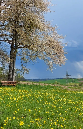 Ernst-Ruisinger-Hütte Grüntal