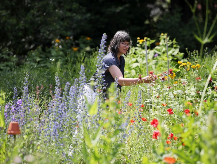 Naumburg im Hummelgarten an der Hummelwerkstatt