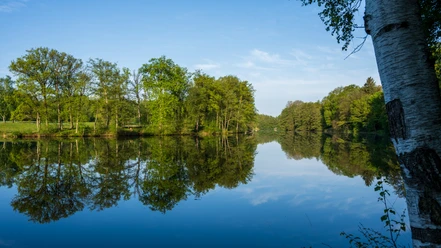 brunausee-behringen.jpg Ein ruhiges Gewässer spiegelt eine grüne Ufervegetation wider, eingerahmt von blühenden Bäumen.