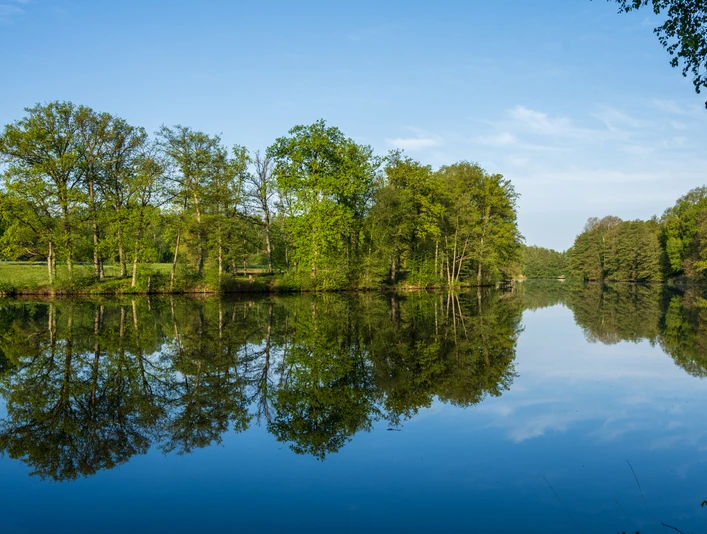 brunausee-behringen.jpg Ein ruhiges Gewässer spiegelt eine grüne Ufervegetation wider, eingerahmt von blühenden Bäumen.