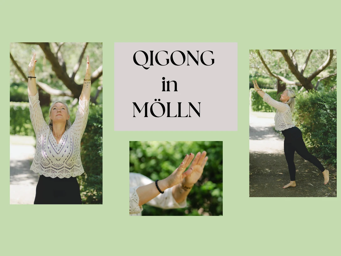 Mölln Tourismus QIGONG.png