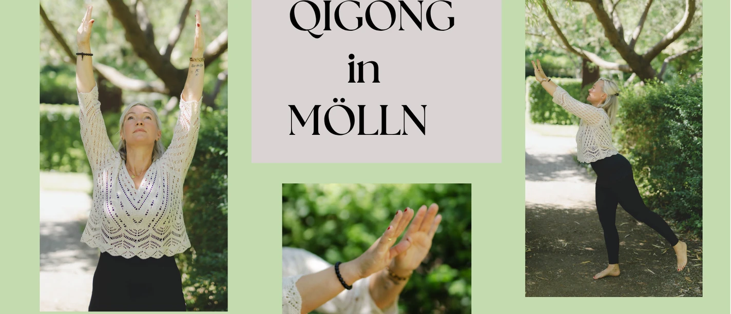 Mölln Tourismus QIGONG.png