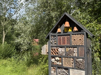 250806_Hollen_Dorfteich_Christina (22).jpeg