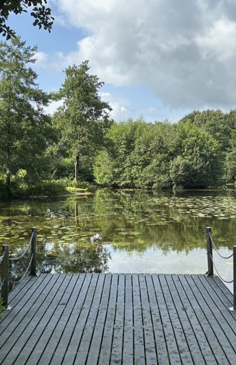 250806_Hollen_Dorfteich_Christina (32).jpeg