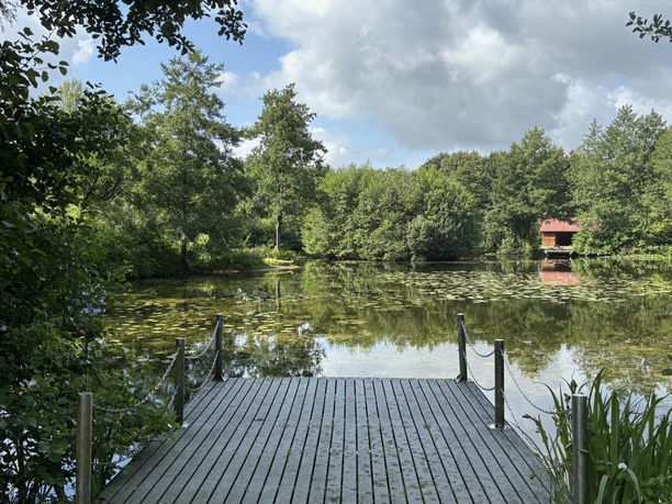 250806_Hollen_Dorfteich_Christina (32).jpeg