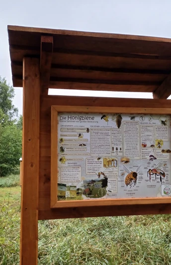 Schautafel am Bienenpfad Gross Oesingen.jpg Schautafel am Bienenpfad Gross Oesingen