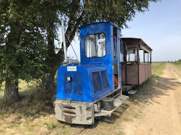 A historic moorland railroad in blue on a narrow track in front of a tree and a wide, clear sky.