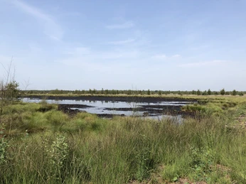 Ein weites Moorgebiet mit klarem Himmel, Grasflächen, einem Wasserbereich und fernen Bäumen im Hintergrund.A vast moorland area with a clear sky, grassy areas, a water area and distant trees in the background.Et stort hedeområde med klar himmel, græsklædte områder, et vandområde og fjerne træer i baggrunden.Een uitgestrekt heidegebied met een heldere hemel, grasvelden, een watergebied en bomen in de verte op de achtergrond.