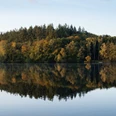 Salemer See Der ruhige Salemer See mit Wald und kleinem Bootshaus, spiegelt im klaren Wasser.