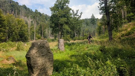 Auf der Radroute 3029 im Nationalpark Böhmische Schweiz in der Nähe vom Šaunštejn