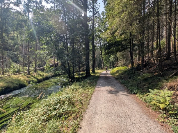 Kirnitzsch-Radweg kurz hinter der sächsisch-böhmischen Grenze