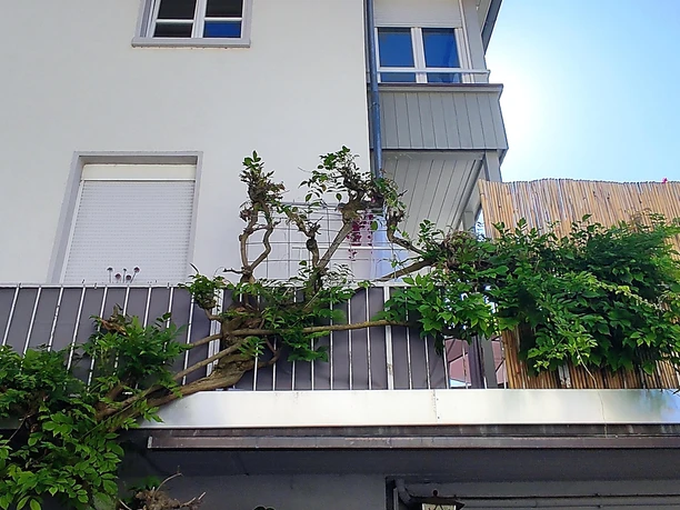 Ferienwohnung Bär 1.Obergeschoss