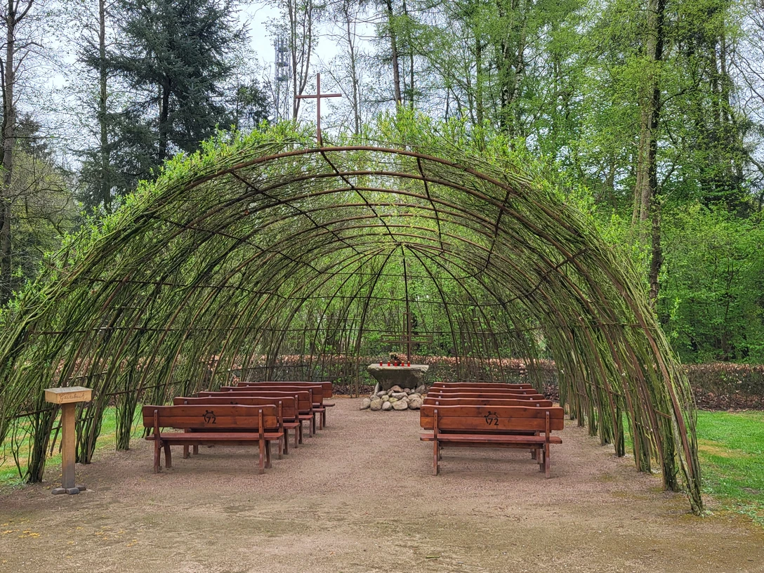 Weidenkirche Bruneforth, Stavern ©Naturpark Hümmling.jpg