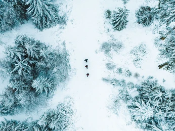 Drohnenaufnahme Wanderer im verschneiten Wald Drohnenaufnahme Wanderer im verschneiten Wald